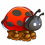 MONTURE : Coccinelle