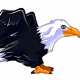 MONTURE : Aigle Royal