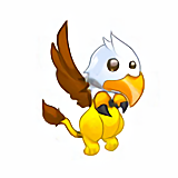 BLIBLI : Bébé Griffon