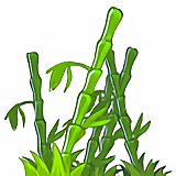 Bamboutus Catapultus