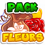 Pack Fleurs