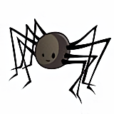 Déco Maisons : Araignée