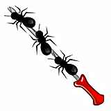 Brochette de fourmis